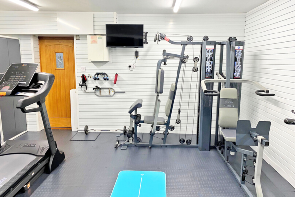 Professional home gym configured for an active family life